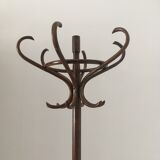 Parrot coatrack