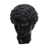 Greek head in waxed black plaster