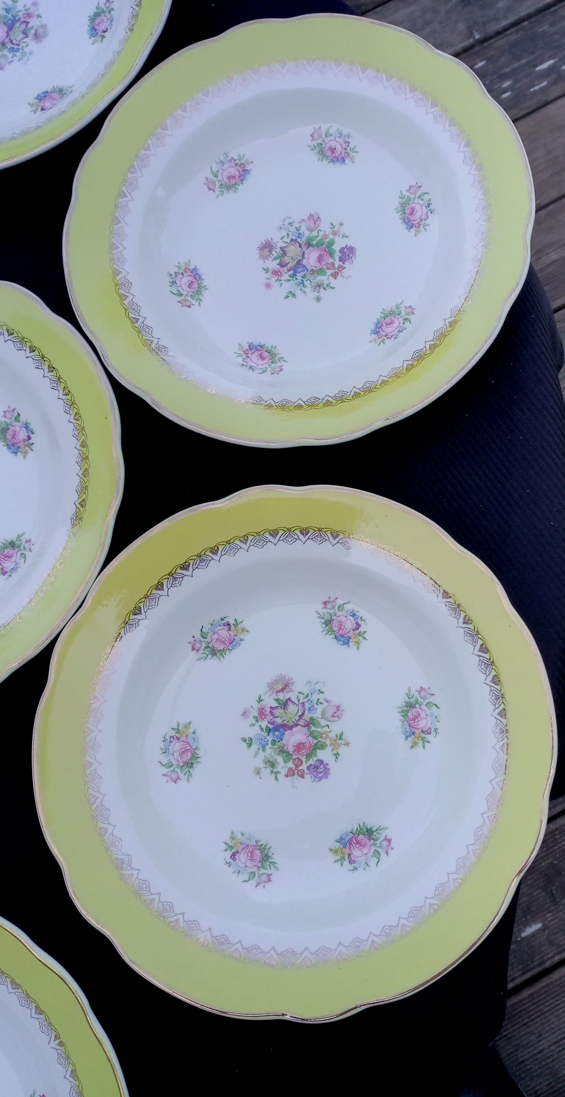 10 hollow plates model graziella sarreguemines & digoin