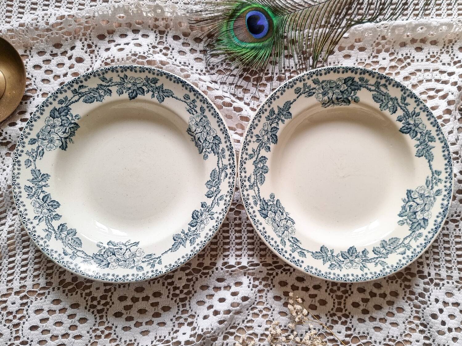 Duo of iron earthenware soup plates
