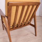 Armchair 300-139 by Swarzędzka Furniture Factory, 1960s