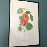 Vintage frame lithograph flowers