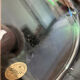 6 new Duralex transparent flat plates