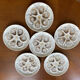 6 Saint Amand oyster plates