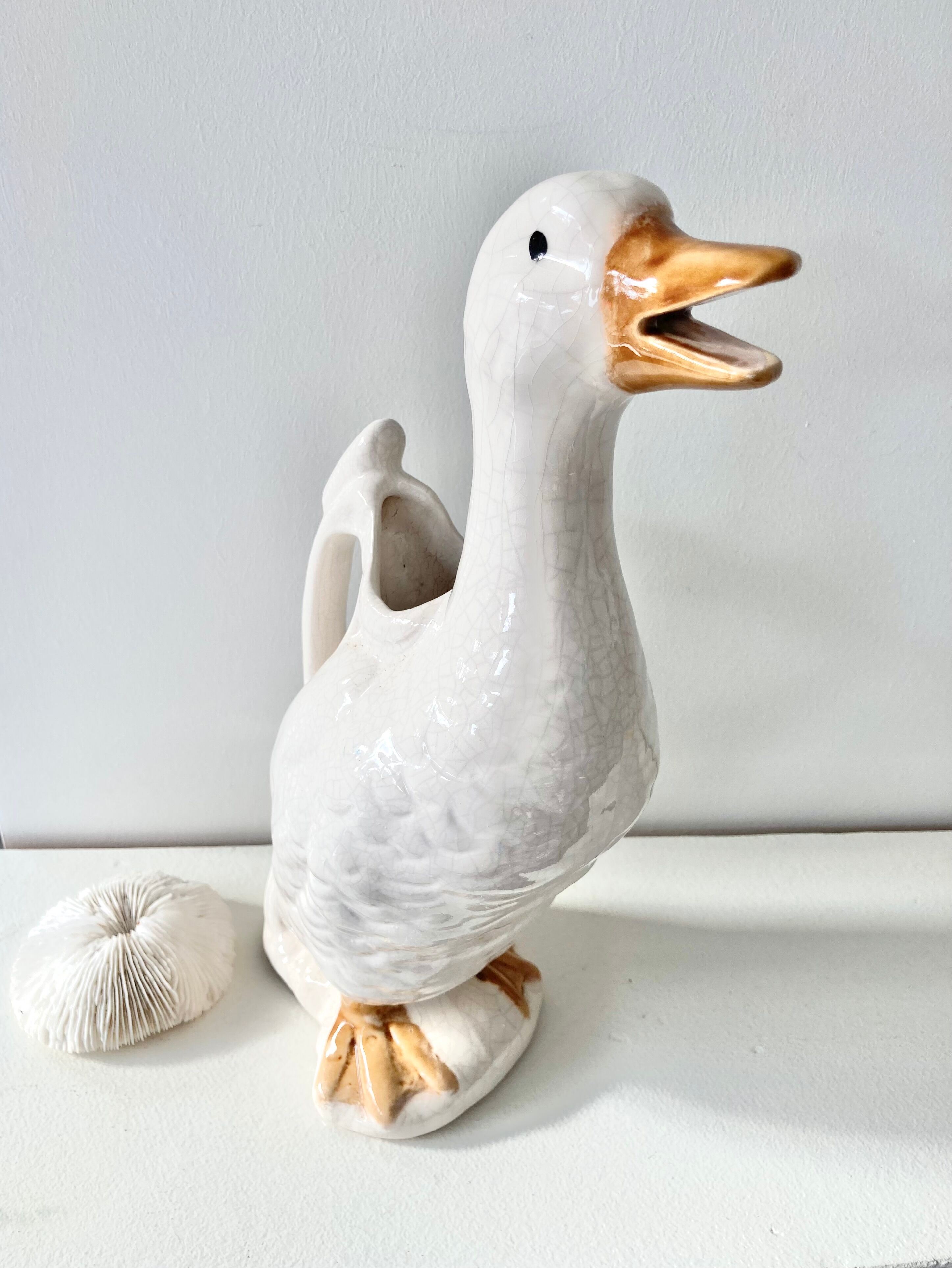 Pitcher duck slurry St Clément