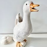 Pitcher duck slurry St Clément