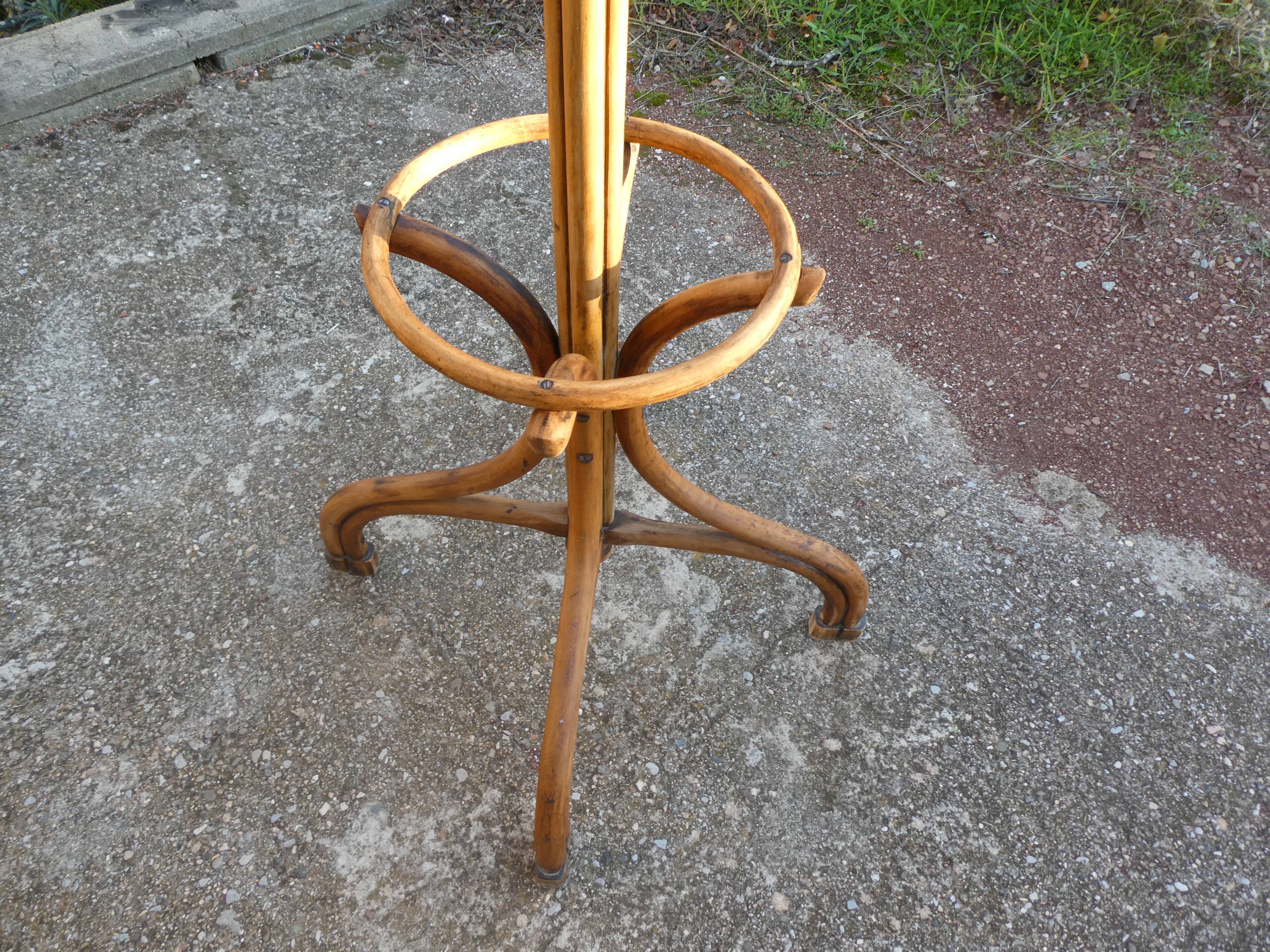 Parrot coat rack in curved wood - Art Nouveau