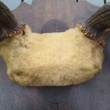 Deer Massacre Trophy