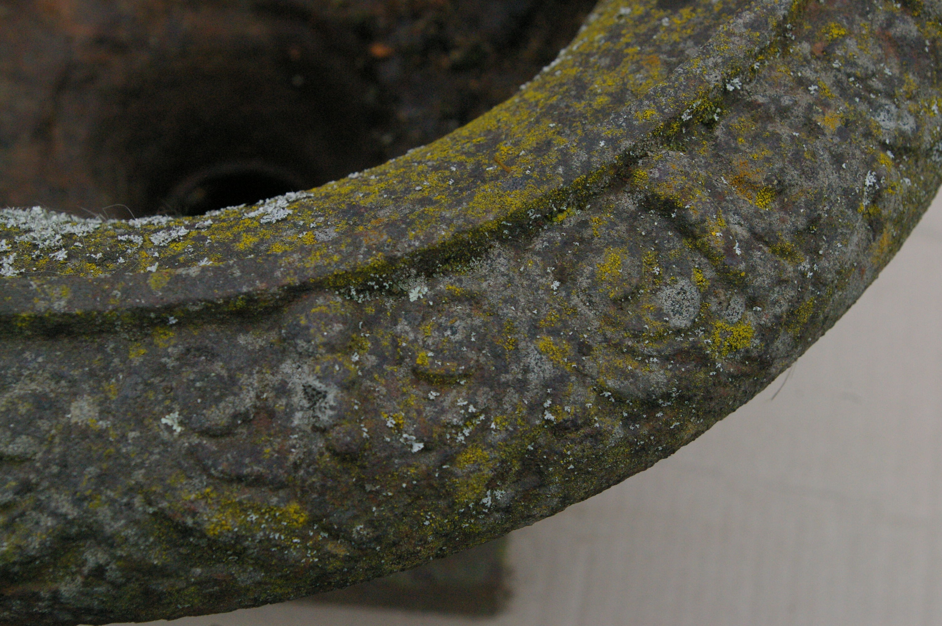 Paire d'anciens vases Médicis de jardin en fonte de fer