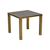 Belgo chrom dewulf side table plant table 23 carat gold smoke glass design