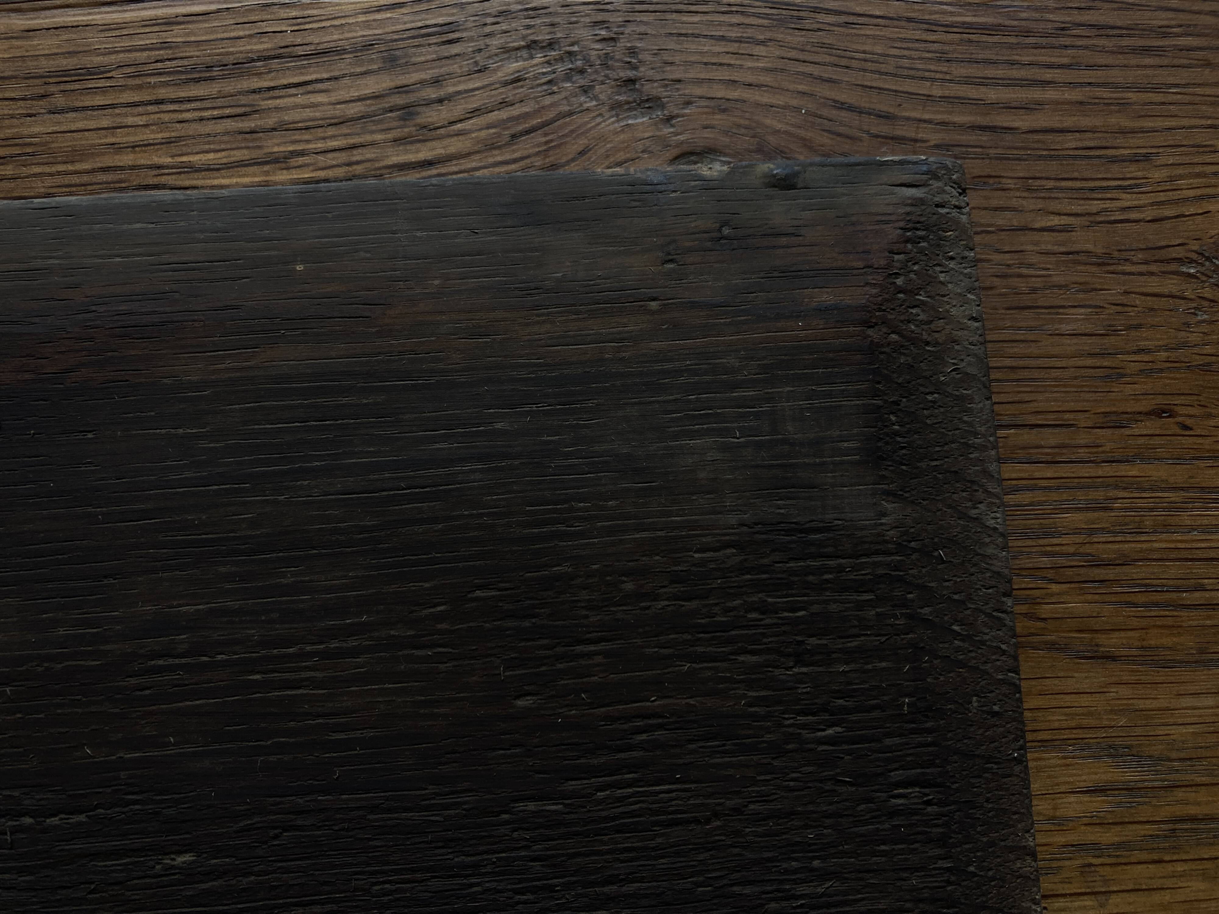 Painting of 19 roses from the garden, oil on wood.