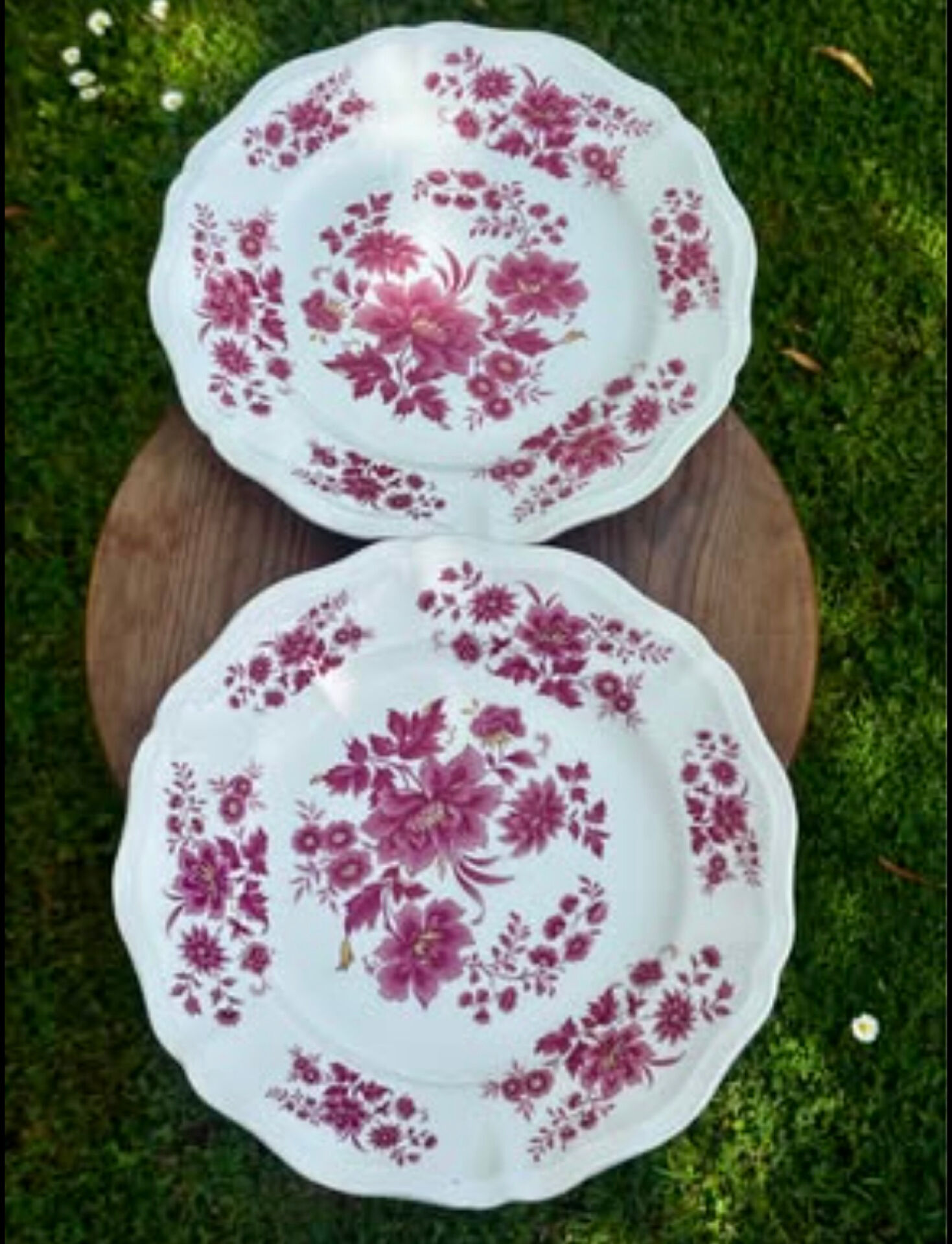 Ensemble de deux assiettes plates anciennes Sarreguemines Aubusson