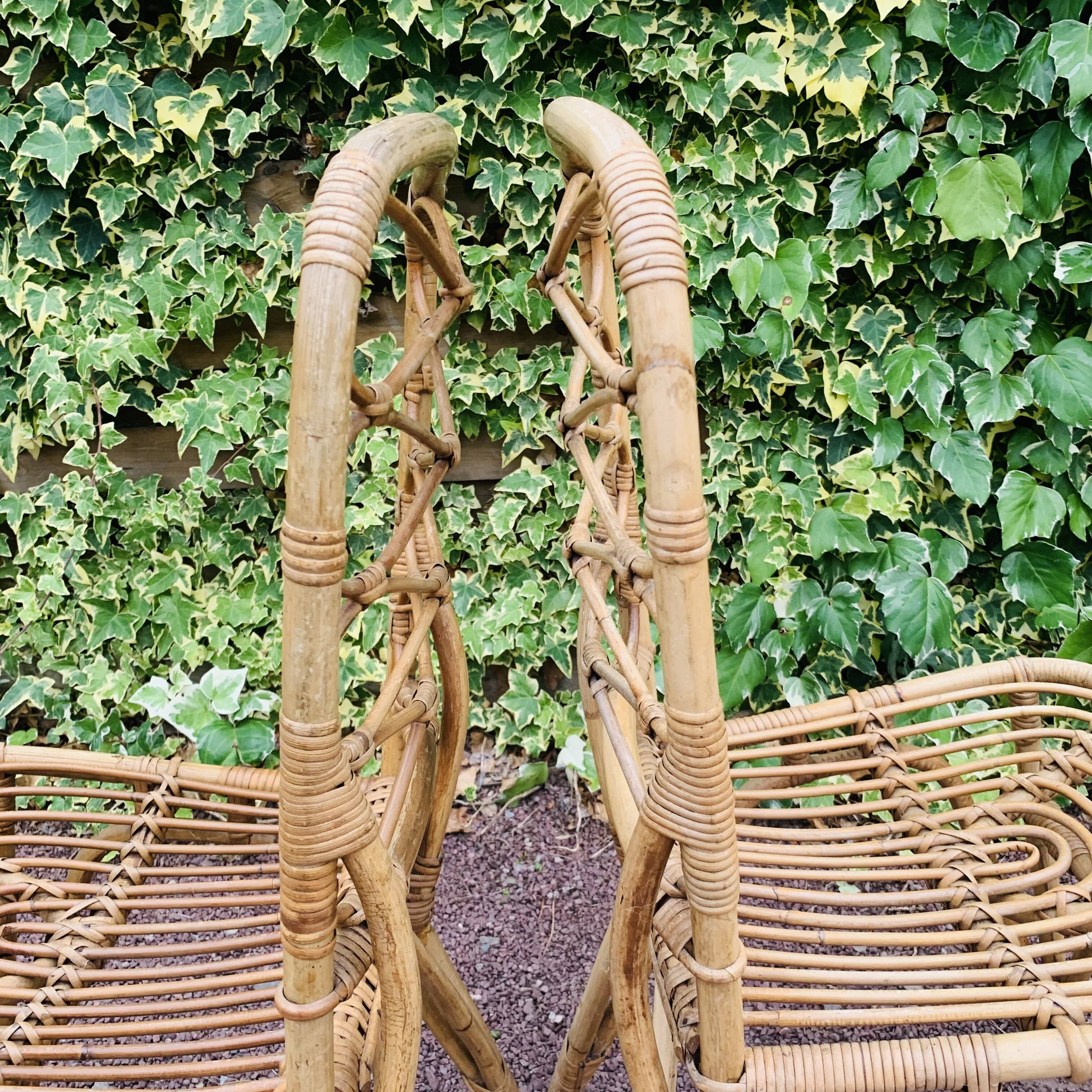 Paire de chaises en rotin Van Rohe