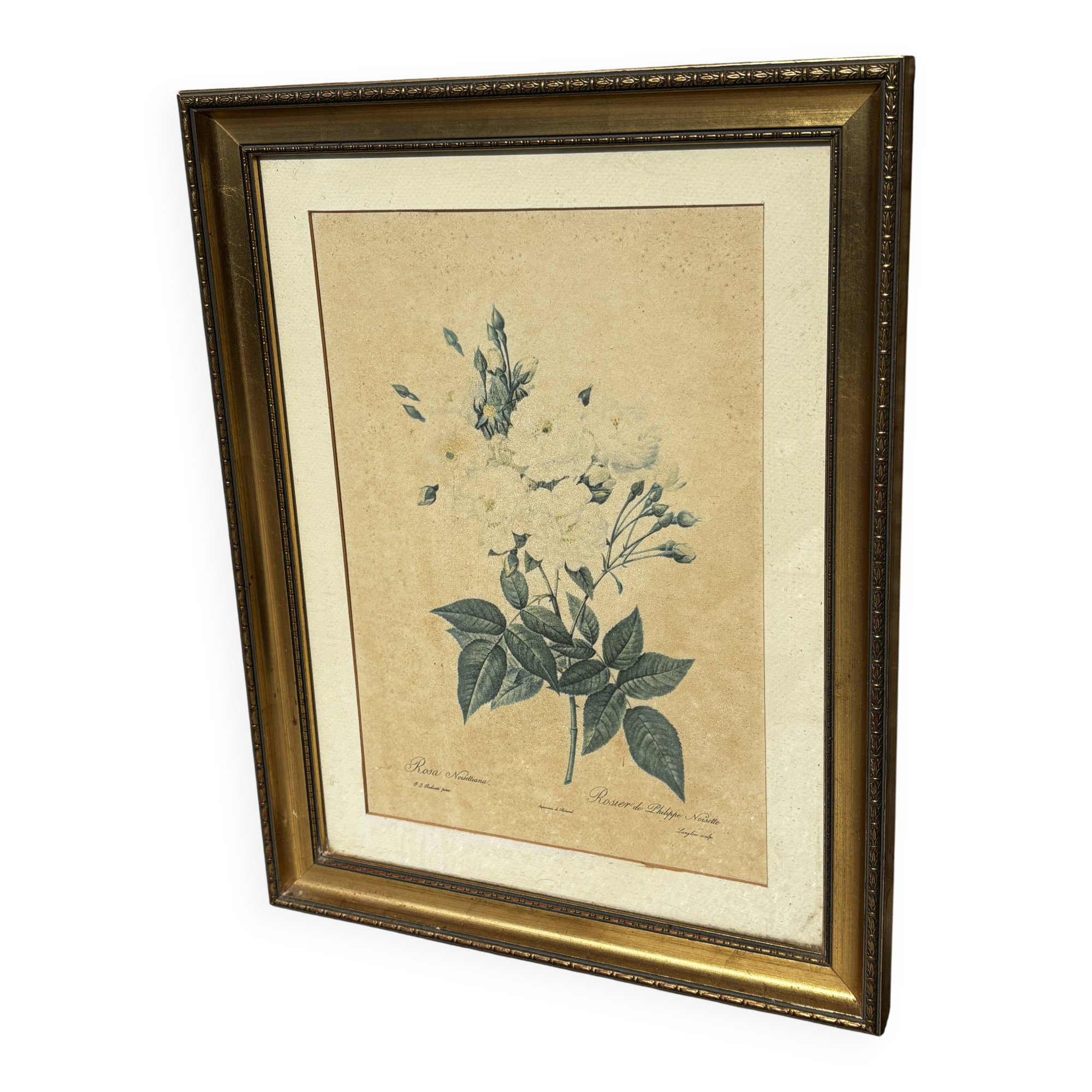 Rose table by Philippe Noisette