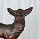 Terracotta sculpture of a young stag, Salvetti, 20th century