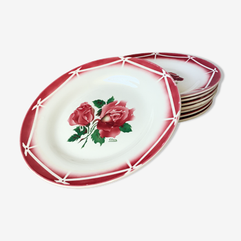 Plates Digoin Cibon Ironstone floral decoration