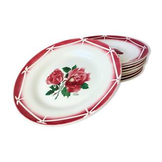 Assiettes Digoin Cibon Ironstone décor floral