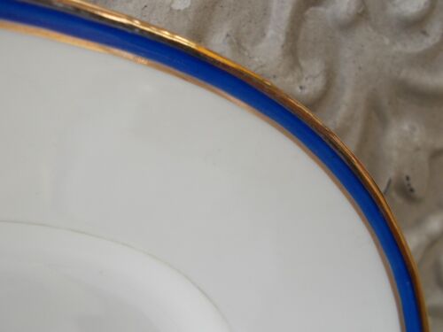 Vegetable and its dish Limoges porcelain blue and gold fillet