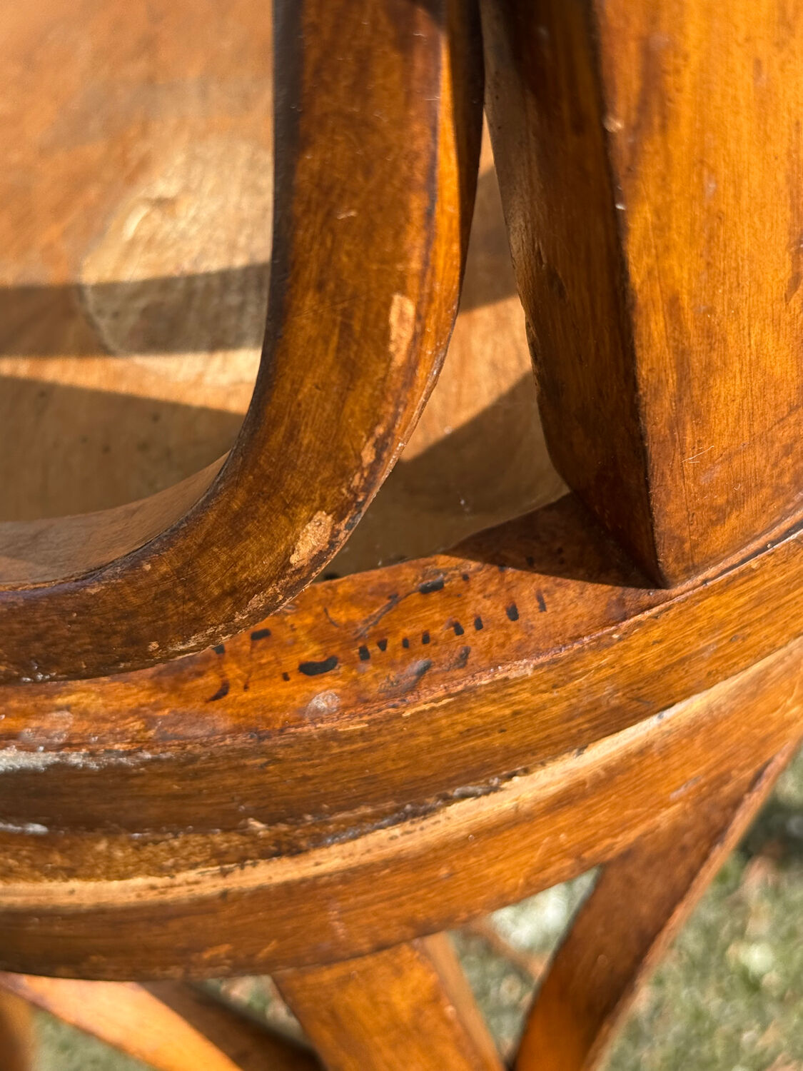 Set of four curved wooden stools stamped Baumann model 92.