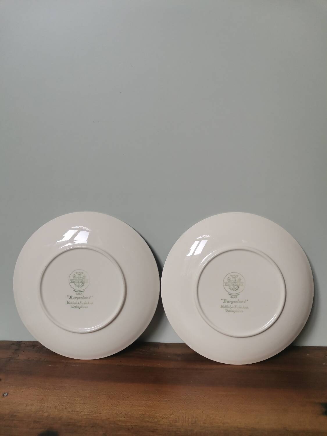 Set of 2 vintage Villeroy and Boch Burgenland plates with blue flower pattern