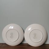 Set of 2 vintage Villeroy and Boch Burgenland plates with blue flower pattern