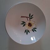 Deep plate Salins France