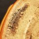 Terrine Durofeu