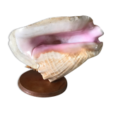 Bedside lamp in vintage shell year 60