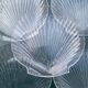 Grandes assiettes plates coquillage , Saint-Jacques 