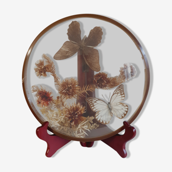 Naturalized butterfly frame and dried flowers ROSELAND