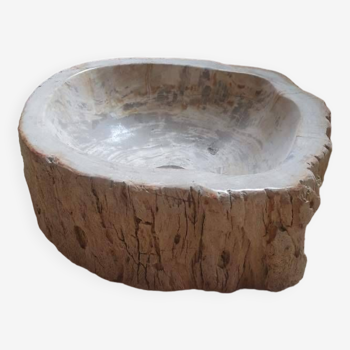 Vasque lavabo en bois fossilisé