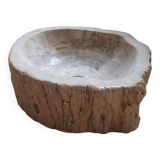 Vasque lavabo en bois fossilisé