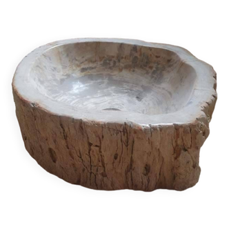 Vasque lavabo en bois fossilisé