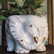Elephant plant pot
