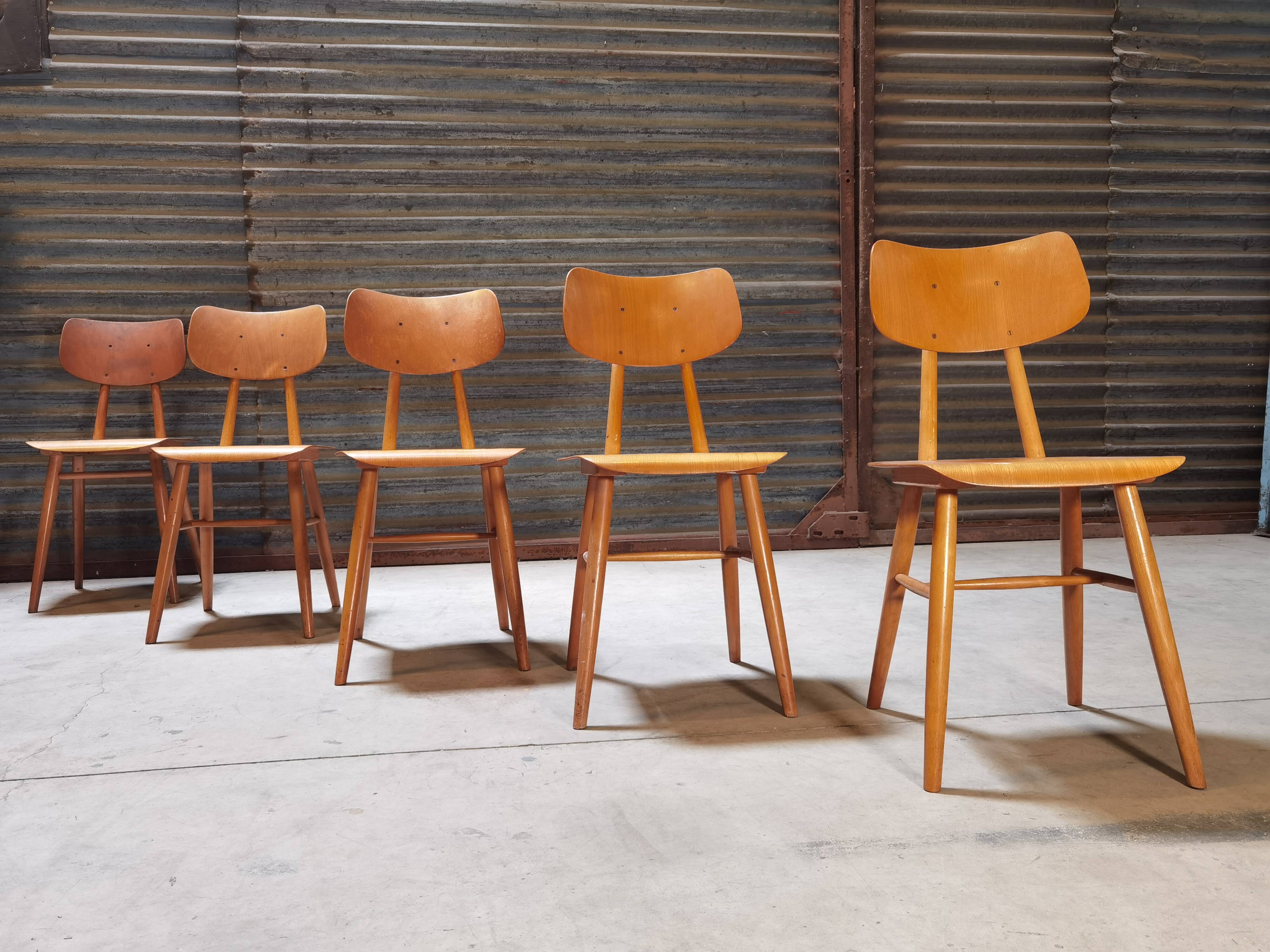 Set of 5 all-wood chairs published by Ton 1960