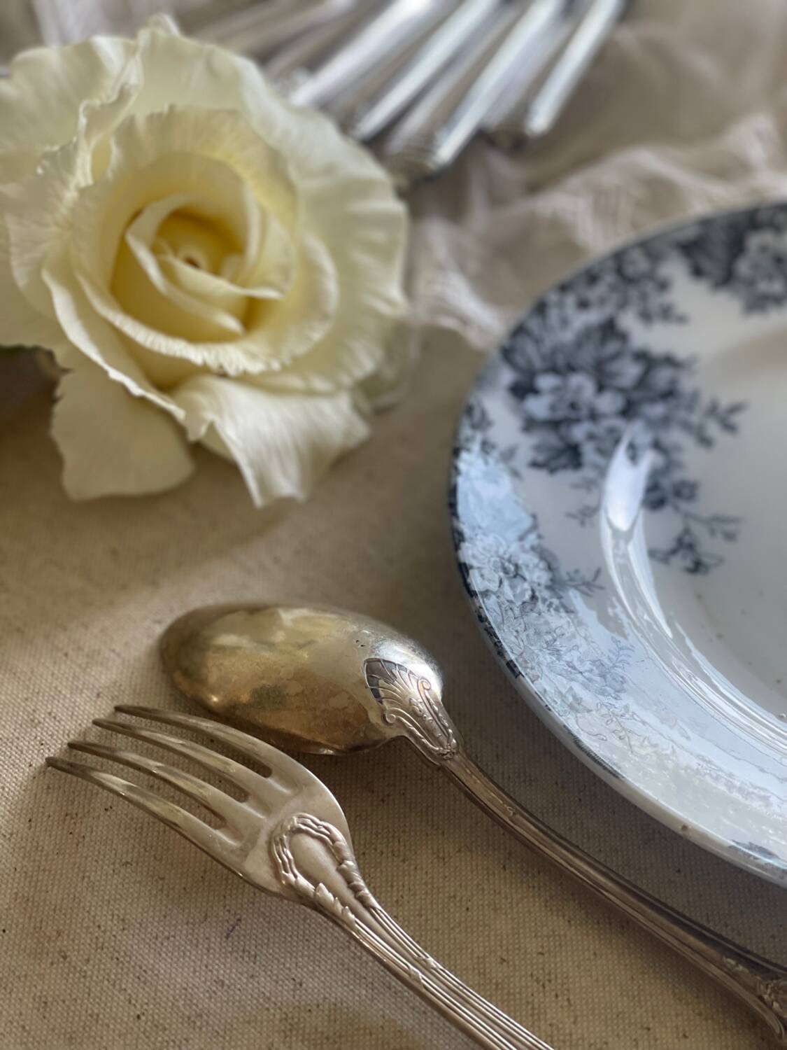 9 mismatched blue ironstone plates