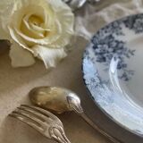 9 mismatched blue ironstone plates