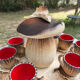 Vintage Bruno Dose service – Mushroom model