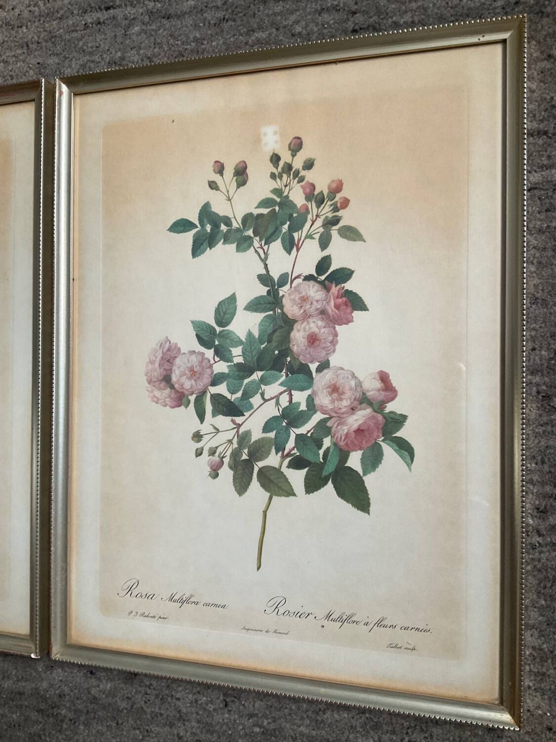 Series of 3 botanical frames from the 70s