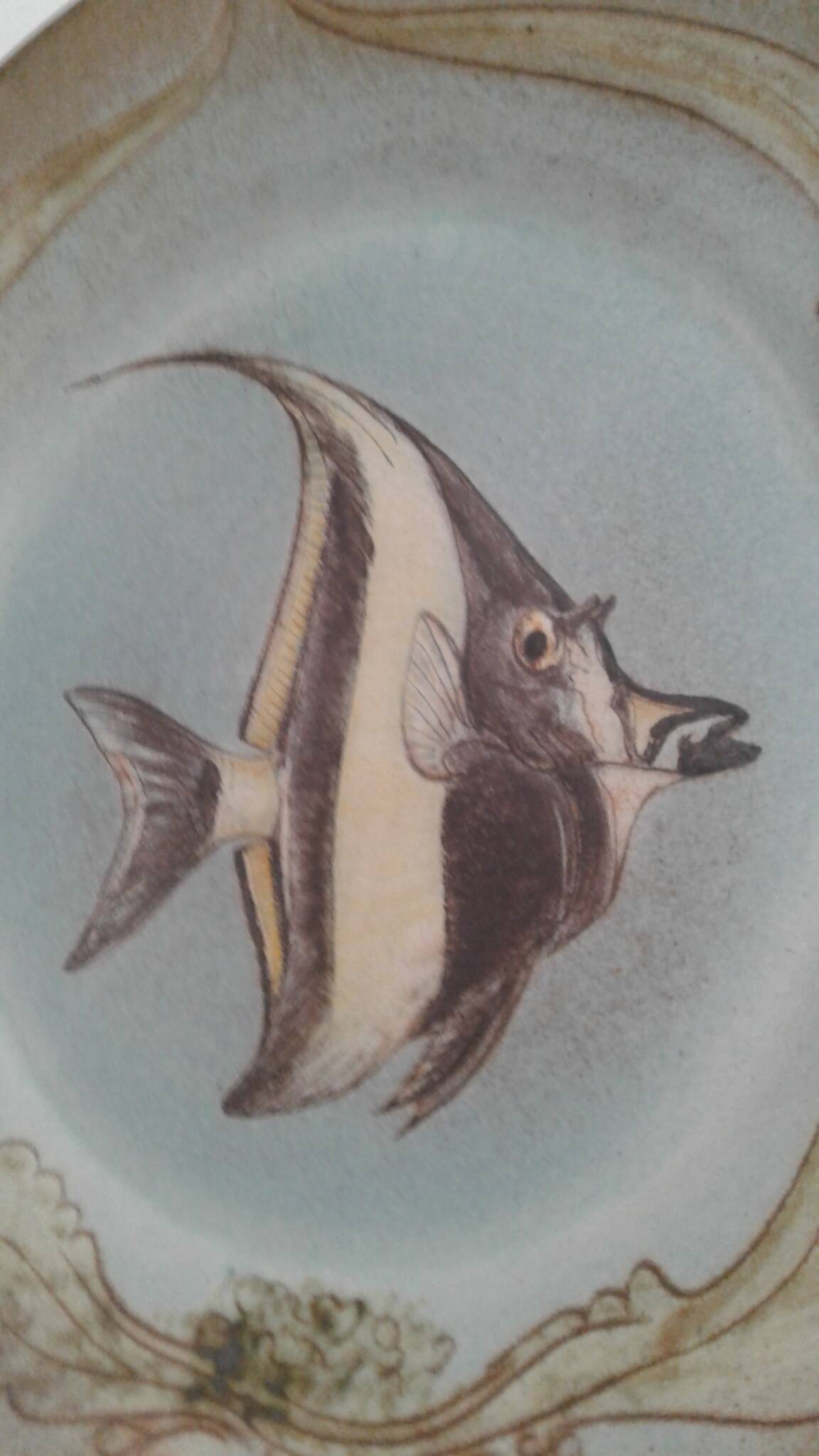 Ceramic plate