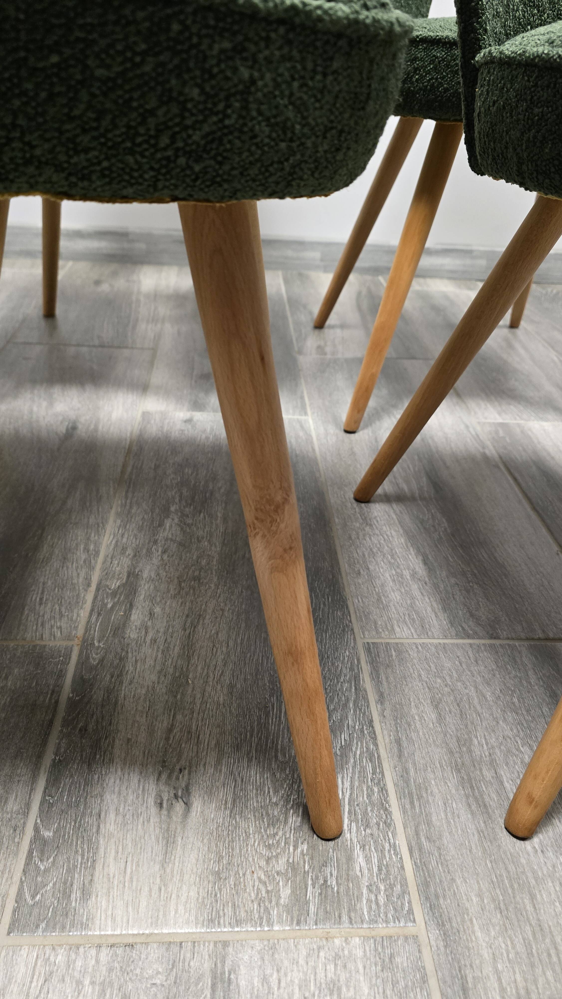 Dining Chairs by Antonin Suman, 1960s, Set of 6