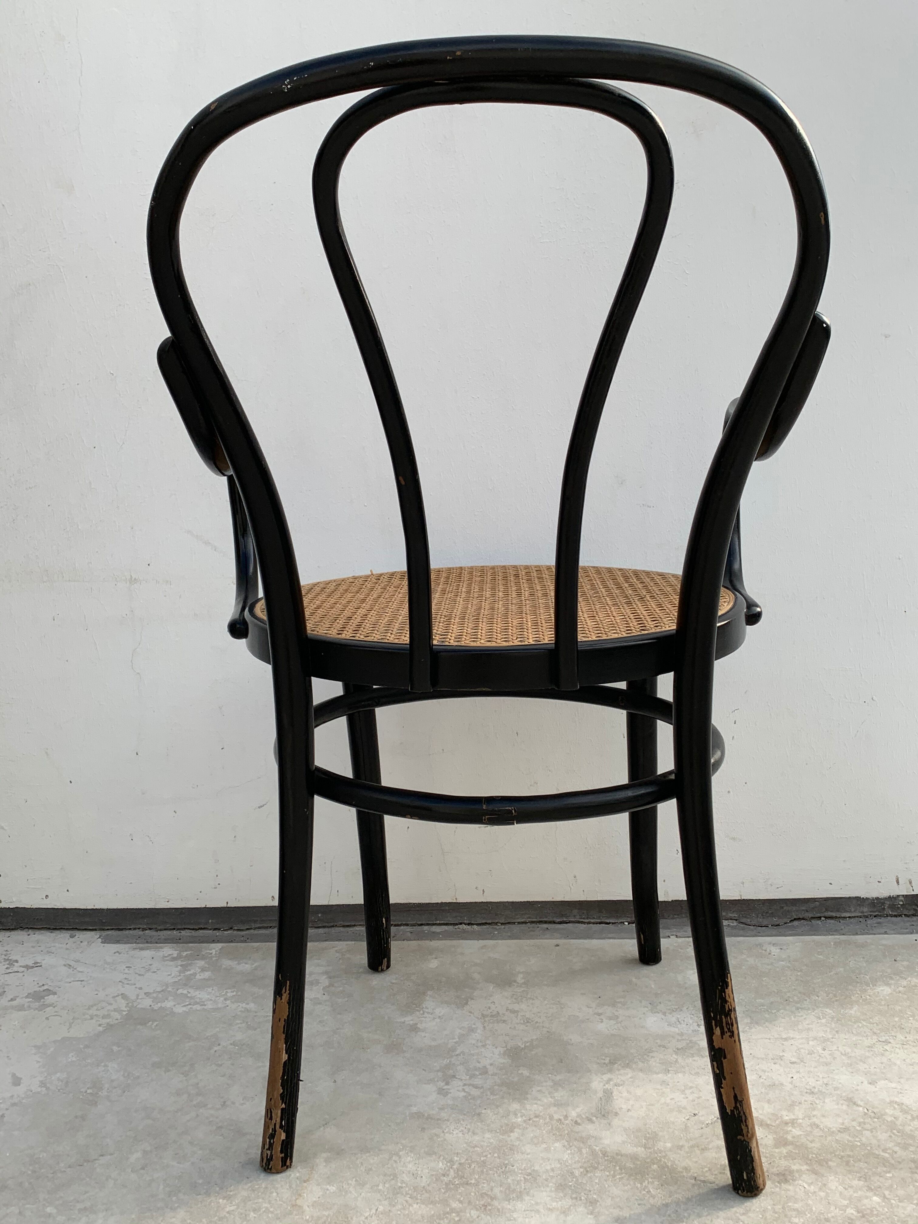 Tuna chair model 1018 in black curved wood and canning 1930