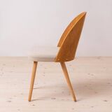 Set of 10 MidCentury Dining Chairs by A.Šuman, Customizable Upholstery Available