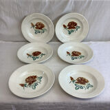 6 old Digoin soup plates