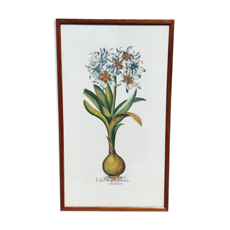 Botanical plank