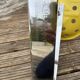 Mezzadro stool Zanotta Castiglioni Memphis Italian design Starck