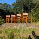 4 solid elm chairs Maison Regain, France 1970s