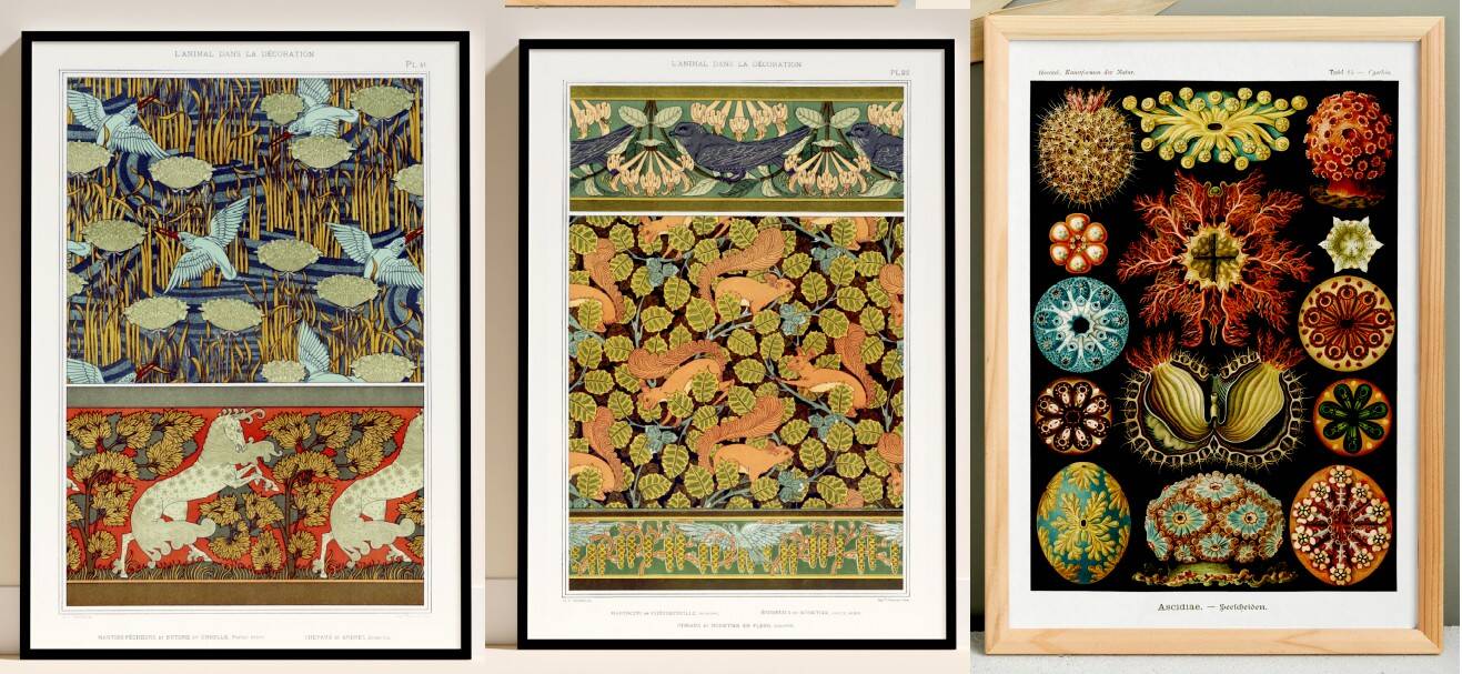 Set of 6 posters