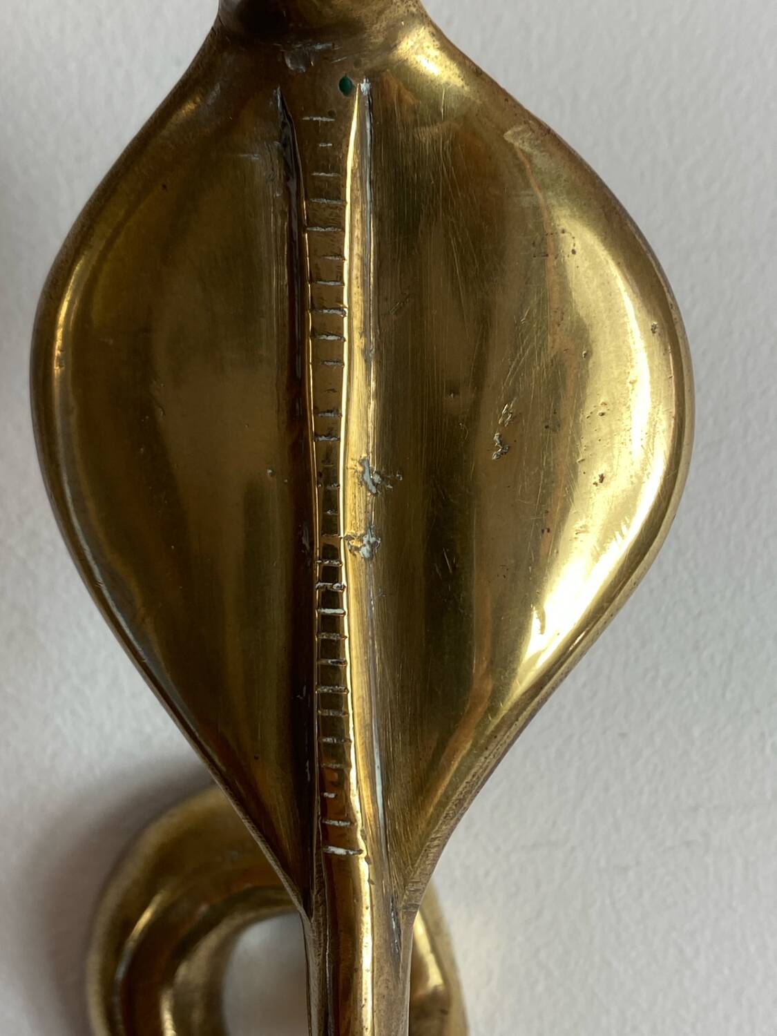 Large brass cobra wall candle holder
