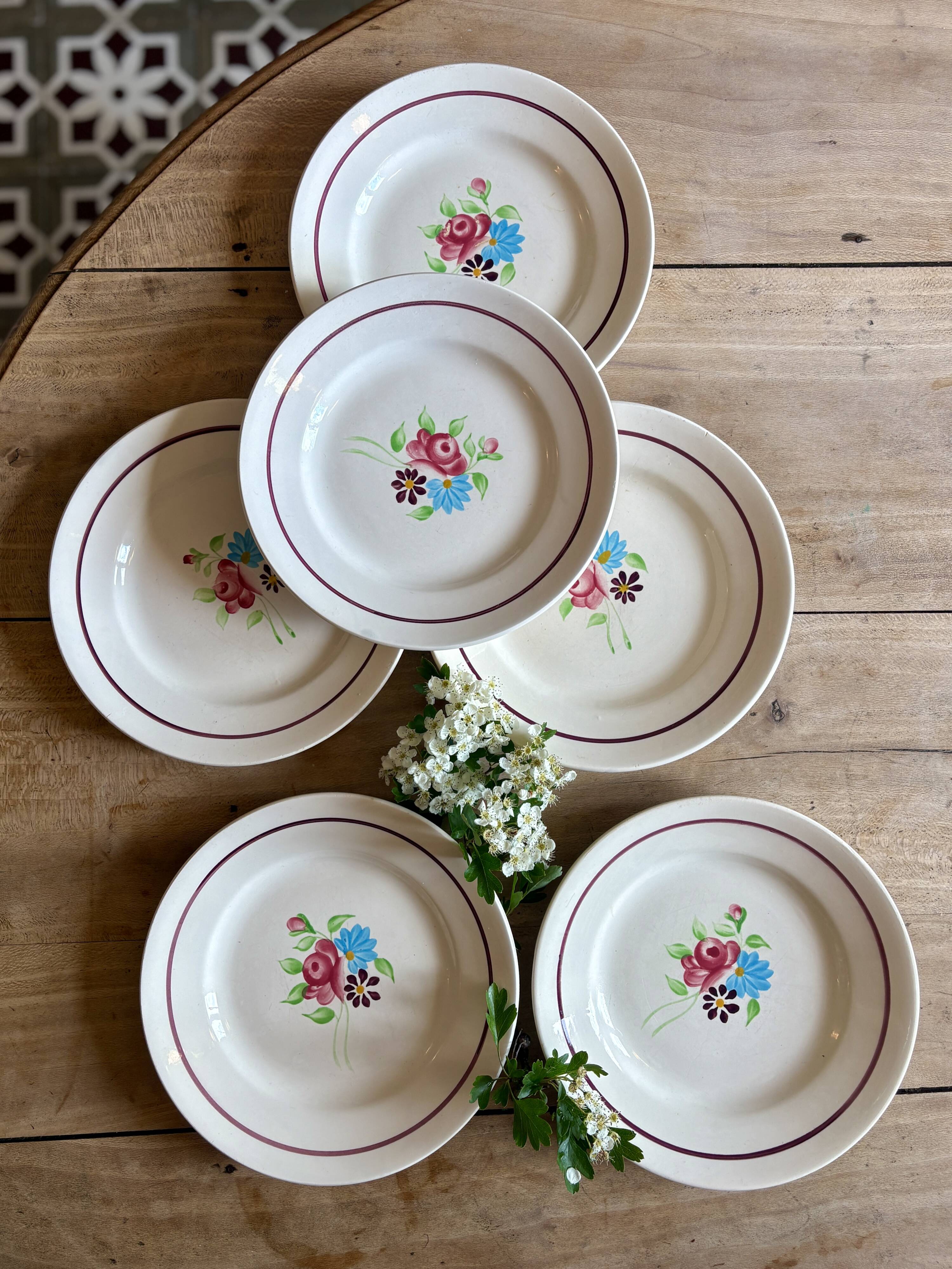 Set of 6 vintage dinner plates, Macon de Nidervillier model